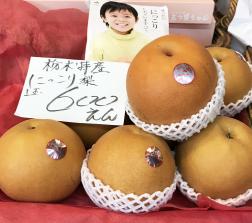 秋の果物ぞくぞく♪