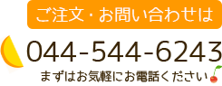 ご注文・お問い合わせは　044-544-6243　まずはお気軽にお電話ください